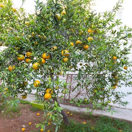 Laila'S Cozy Garden House & Studio Larnaca Buitenkant foto