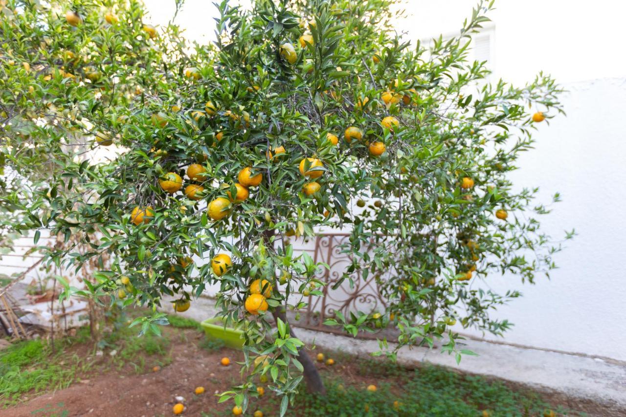 Laila'S Cozy Garden House & Studio Larnaca Buitenkant foto